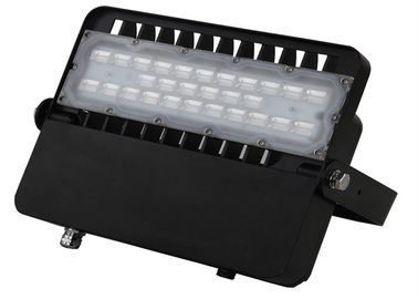 Meawell ELGと屋外SMD3030 IP65 100W 12000lm LEDの洪水ライト