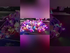 アドレス可能な RGB IP68 防水 LED イーブライト クリスマス飾り