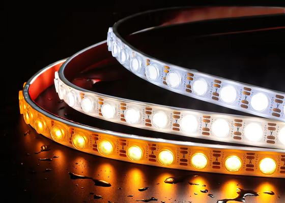 DC 24V 24W 1LED 防水ソフトストライプ ホワイトライト LEDレンズ 壁洗浄機 玄関照明