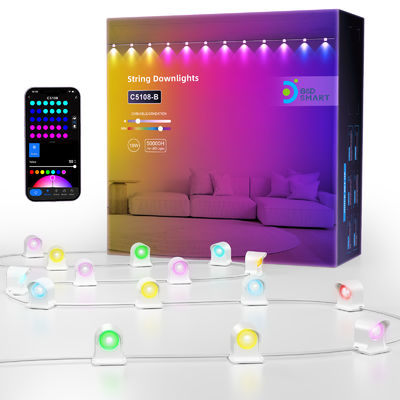 アドレス可能な RGB IP68 防水 LED イーブライト クリスマス飾り