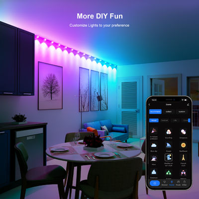 アドレス可能な RGB IP68 防水 LED イーブライト クリスマス飾り