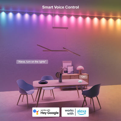 アドレス可能な RGB IP68 防水 LED イーブライト クリスマス飾り