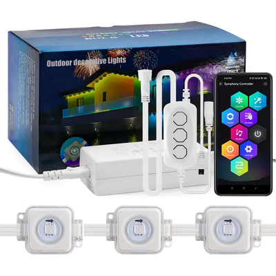 ピクセルライト クリスマス カラフル ハウスデコレーション 2024 RGB プログラマブル LED シェイプ IP65 防水 ホリデーライティング