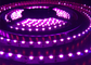 UVA紫外線Cの殺菌紫色は軽いストリップSMD335の紫外線導かれたストリップ254nm 360nm 365nm 455nmを導いた